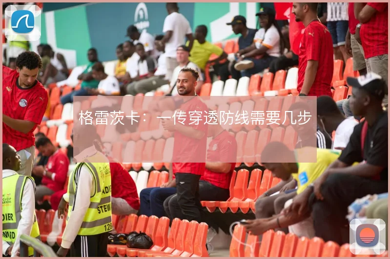 格雷茨卡：一传穿透防线需要几步