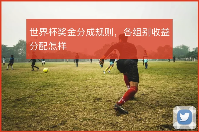 世界杯奖金分成规则，各组别收益分配怎样