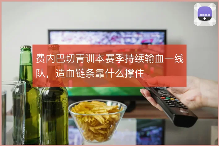 费内巴切青训本赛季持续输血一线队,造血链条靠什么撑住