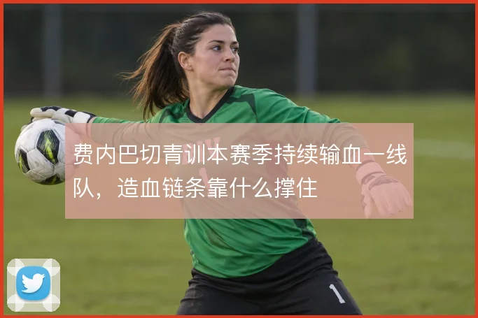 费内巴切青训本赛季持续输血一线队,造血链条靠什么撑住